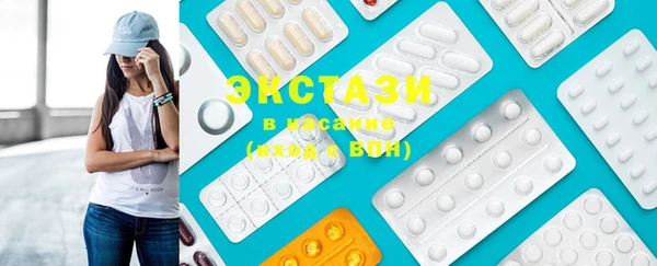 ECSTASY Богородицк