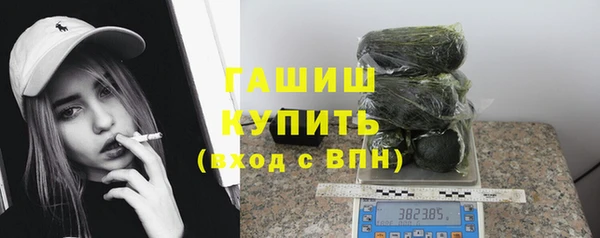ECSTASY Богородицк