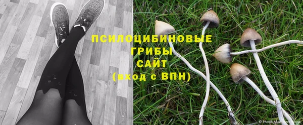 гашиш Богородск