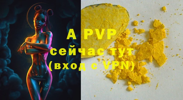 ECSTASY Богородицк