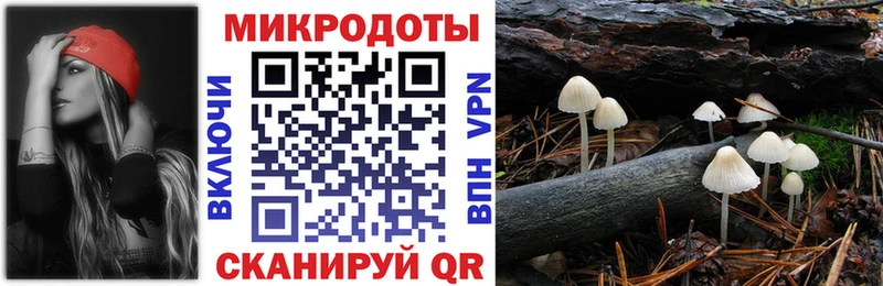 KRAKEN как войти  нарко площадка как зайти  Галлюциногенные грибы прущие грибы  Коломна 