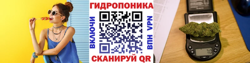 Бошки Шишки семена  где купить   Коломна 